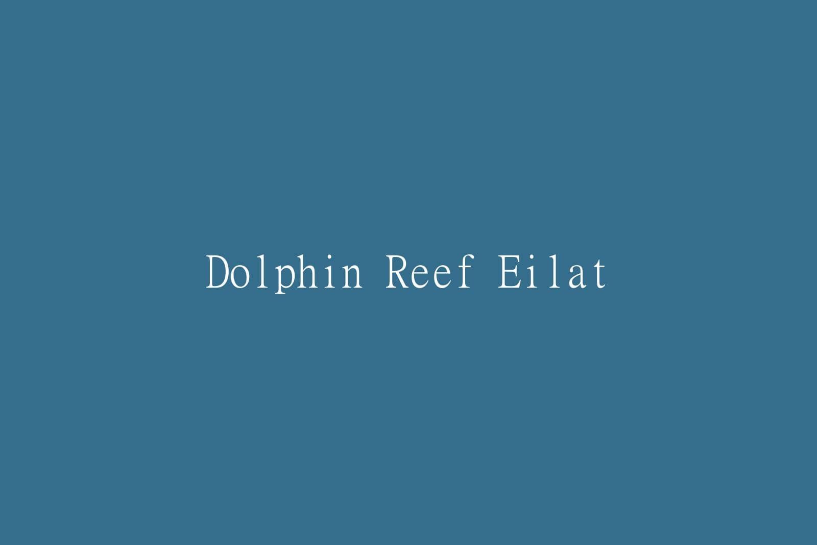 Eilat Dolphin Reef: Complete Visitor Guide (2026)