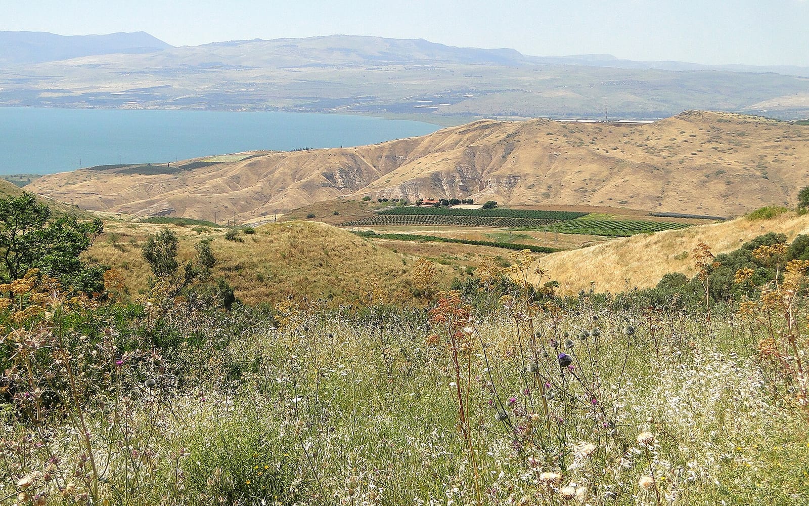 Galilee, Israel — Green hills and holy water