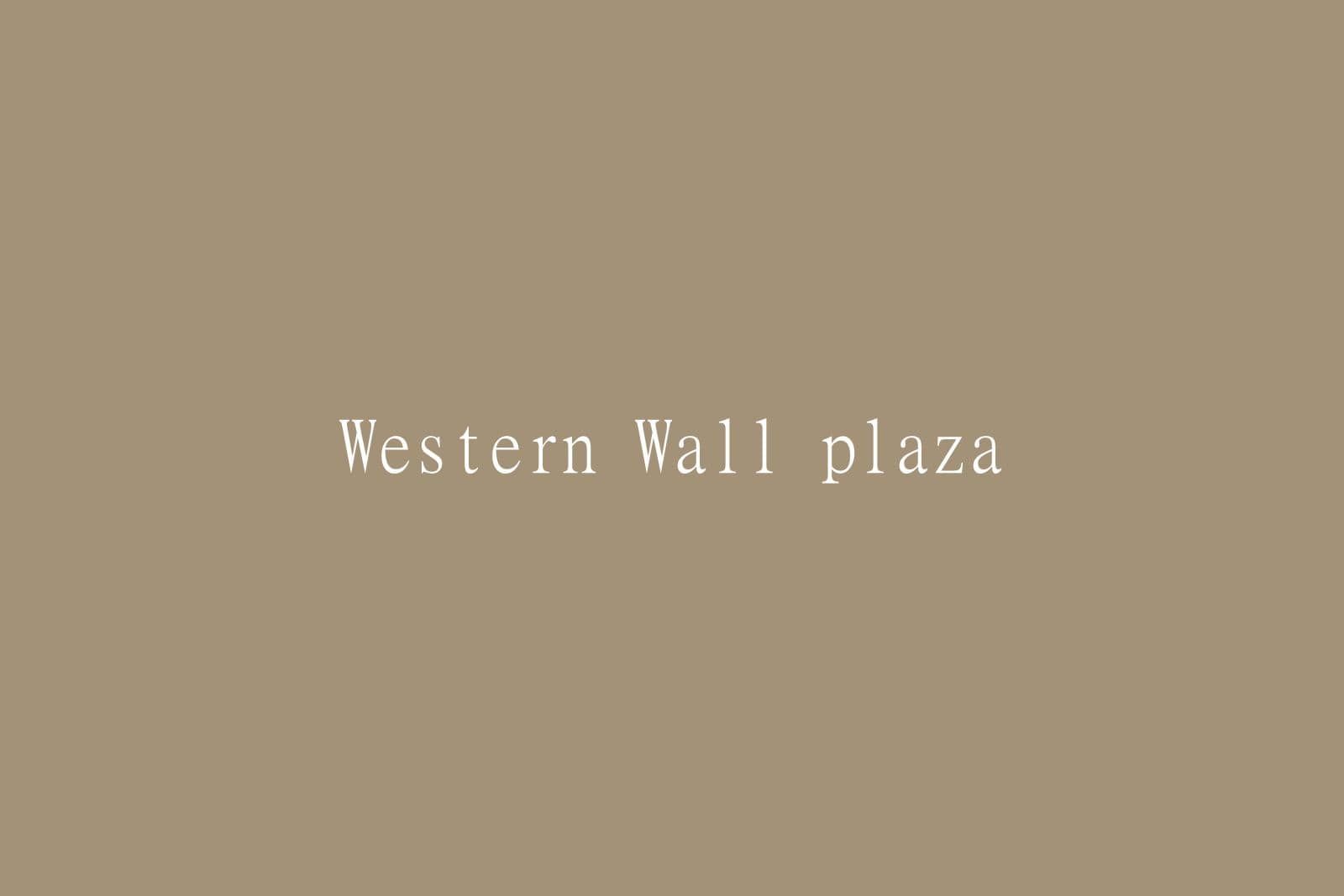 Western Wall Tunnels Tour