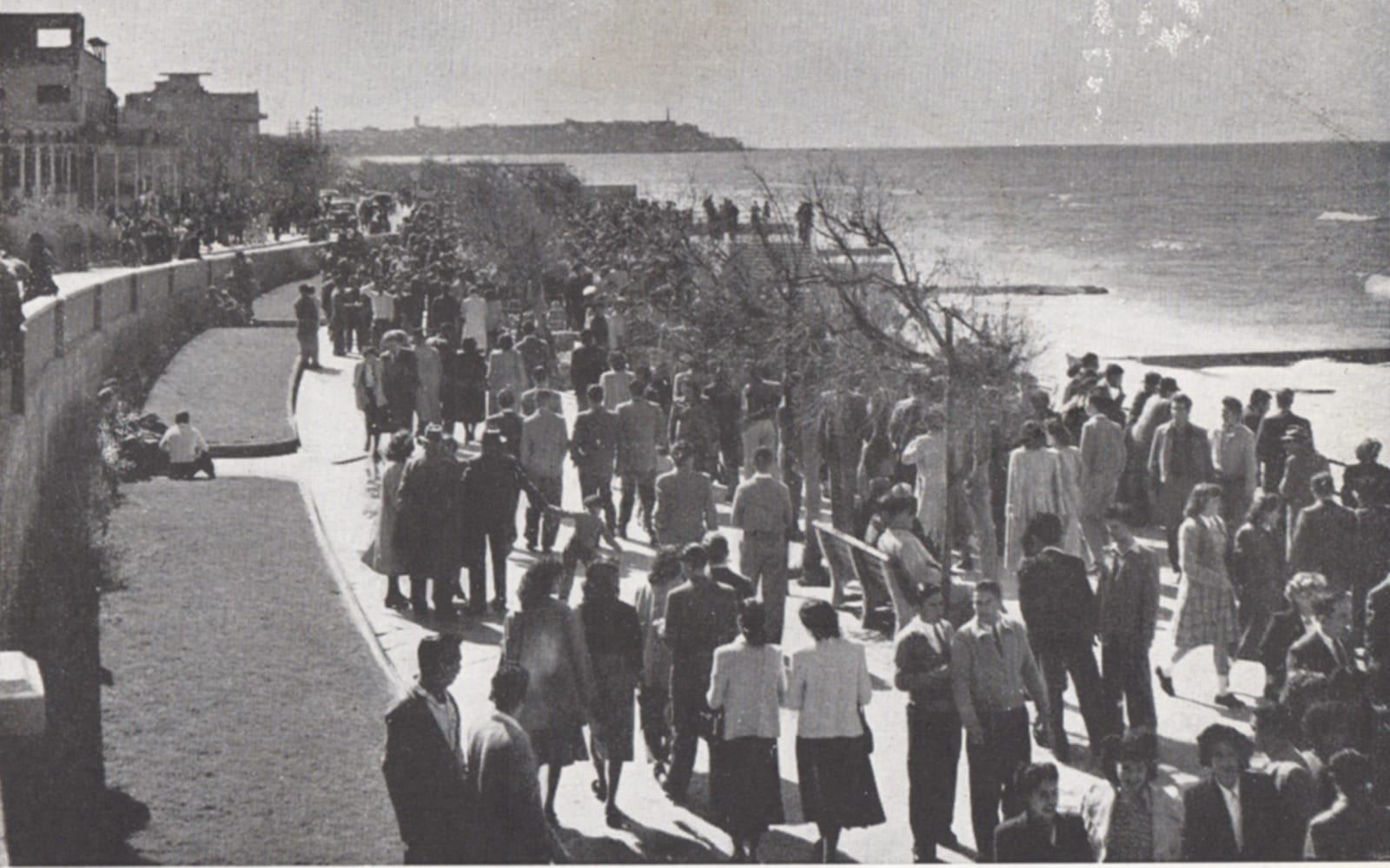 Tel Aviv, Israel — Mediterranean cool