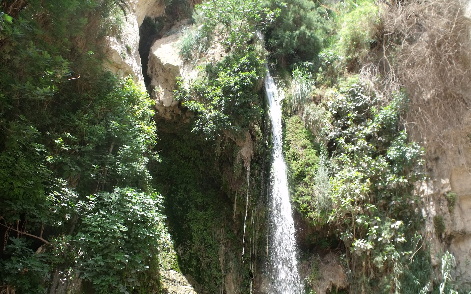 Ein Gedi Nature Reserve, Dead Sea