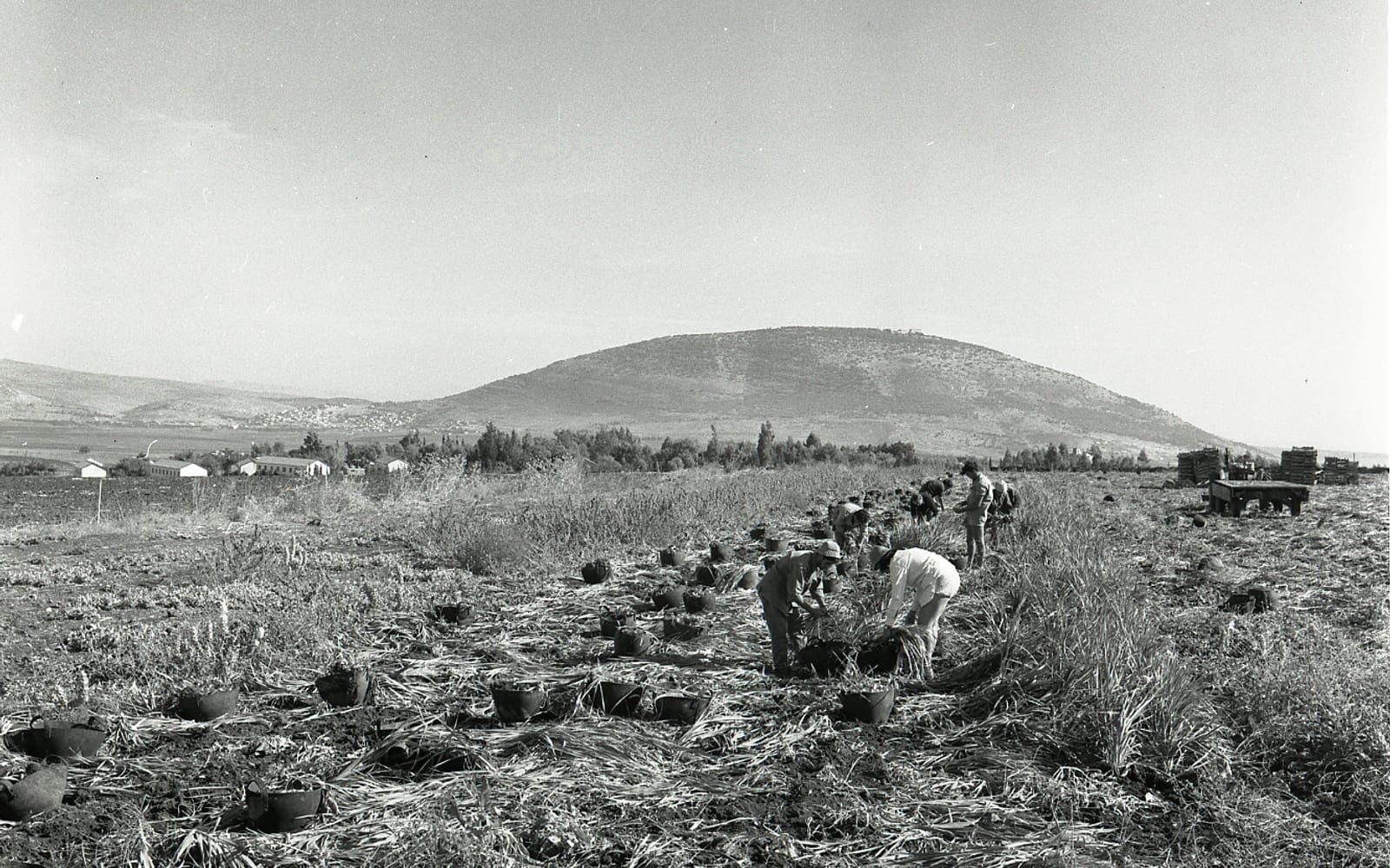 Mount of Precipice, Nazareth