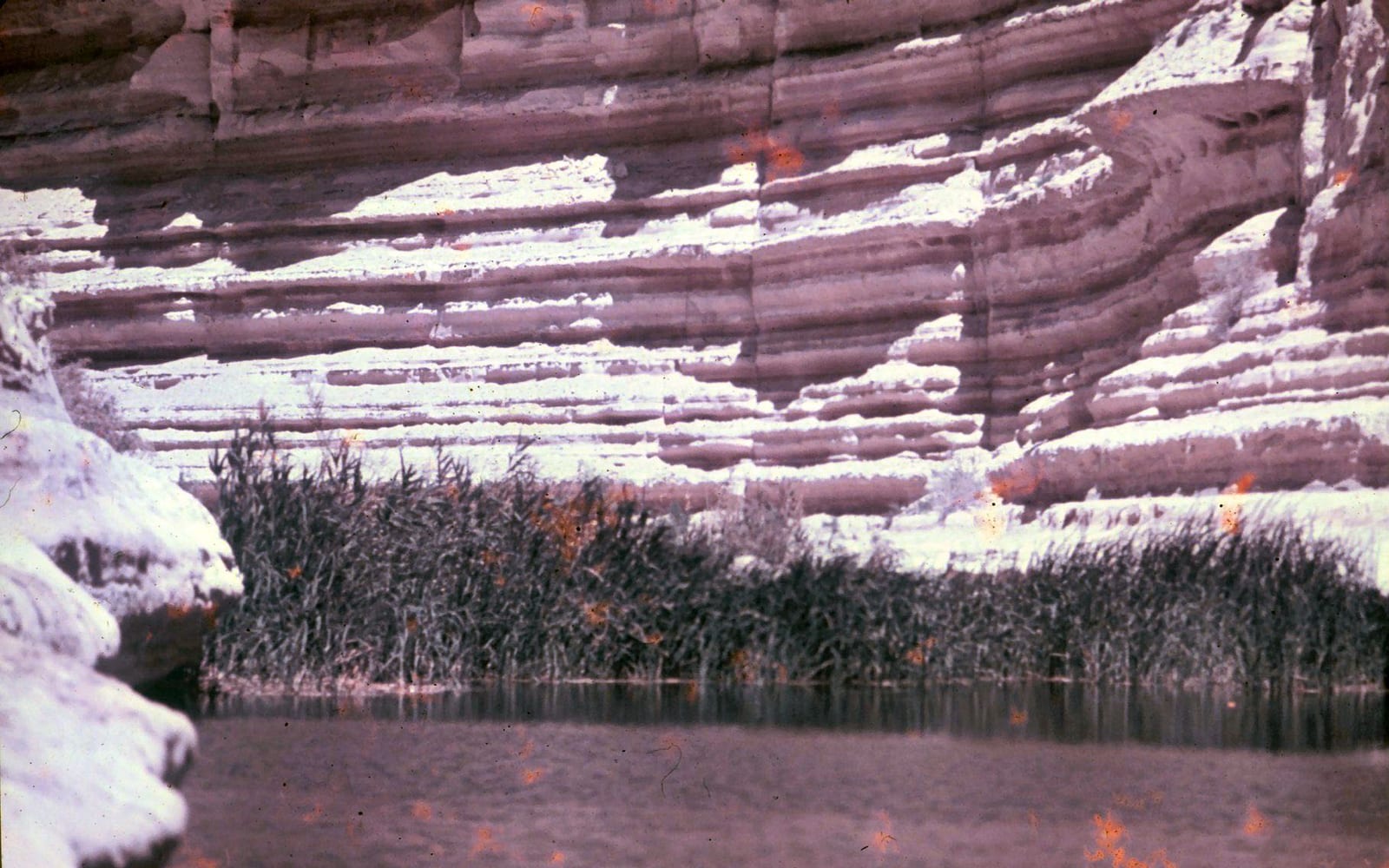 Ein Avdat, Negev