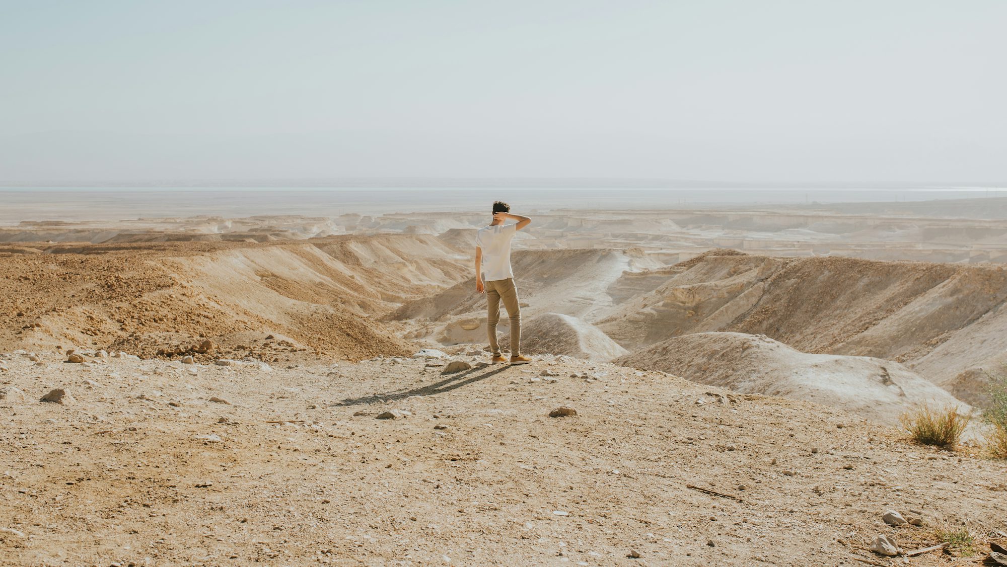 Makhtesh Ramon crater panorama in the Negev Desert